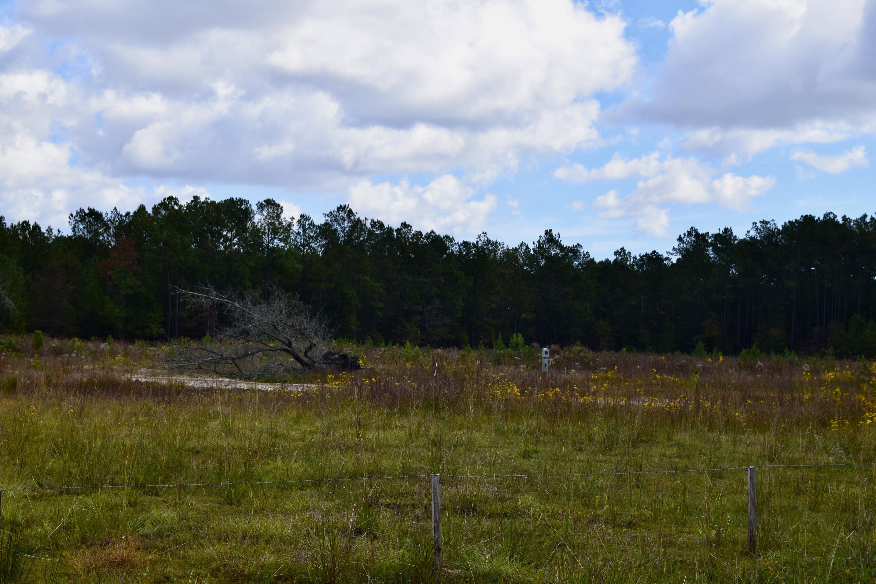 119 Old Arrowhead Road Huger, SC 29450 - Photo 1 of 12 DSC_0240