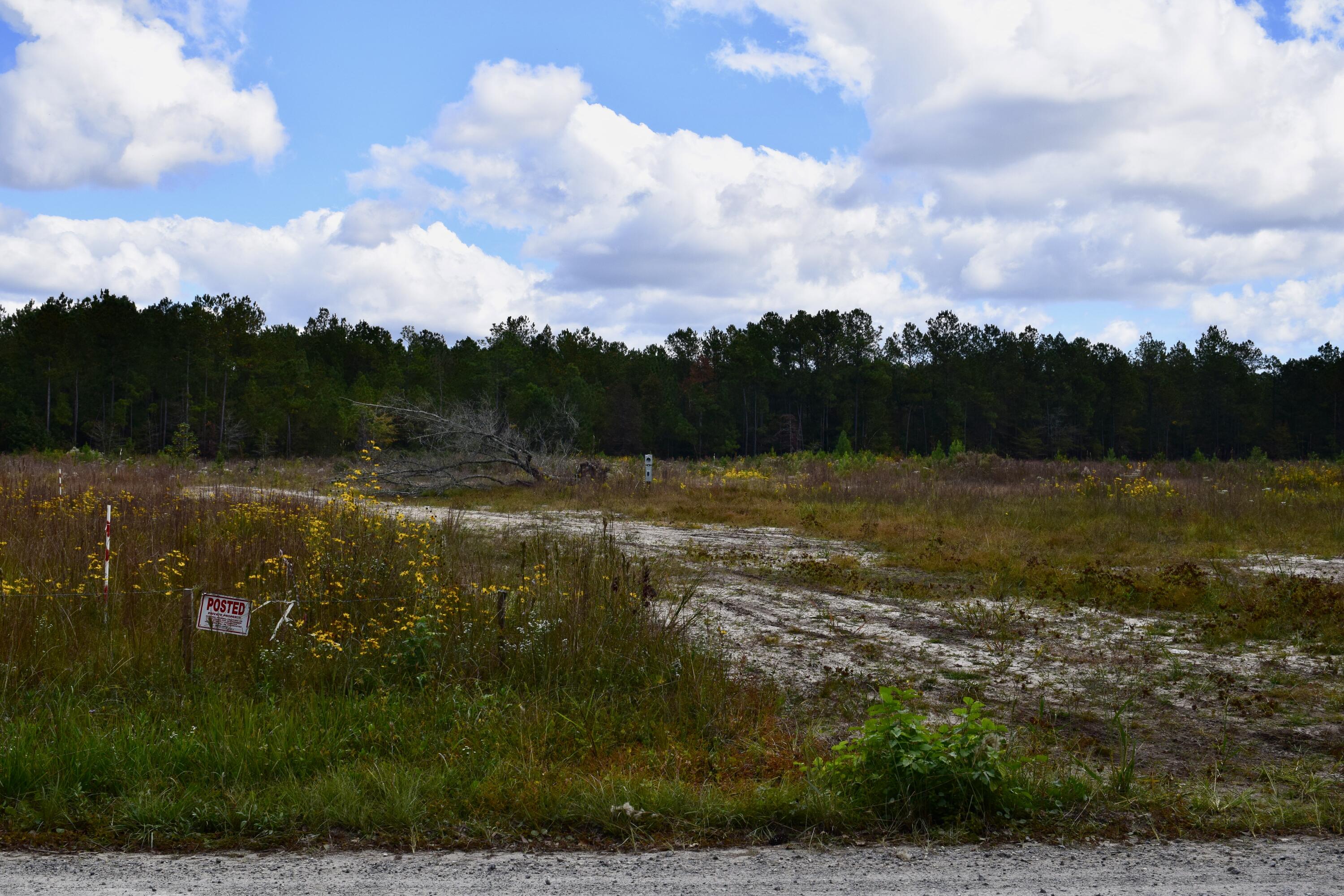 119 Old Arrowhead Road Huger, SC 29450 - Photo 2 of 12 DSC_0239