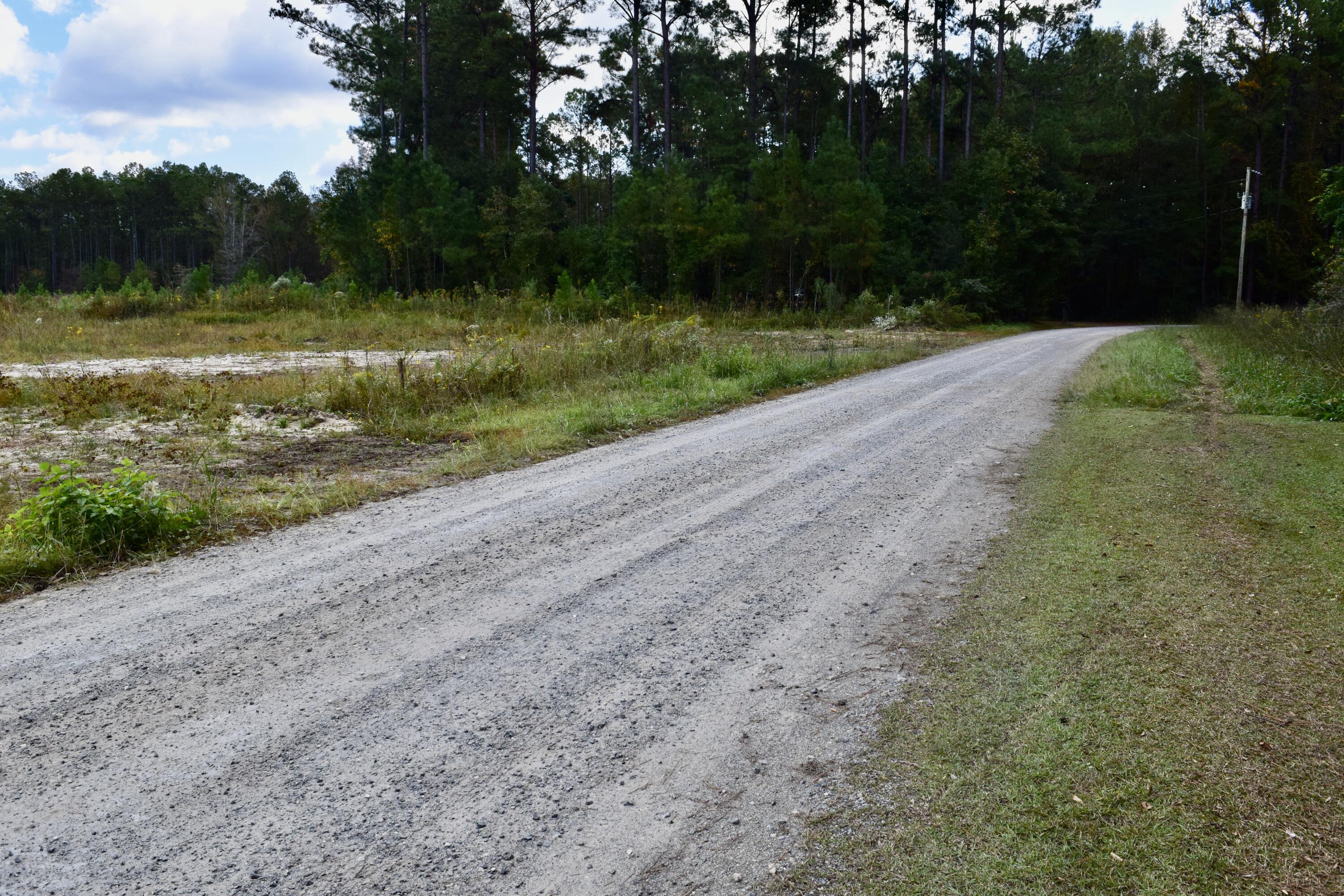 119 Old Arrowhead Road Huger, SC 29450 - Photo 3 of 12 DSC_0238