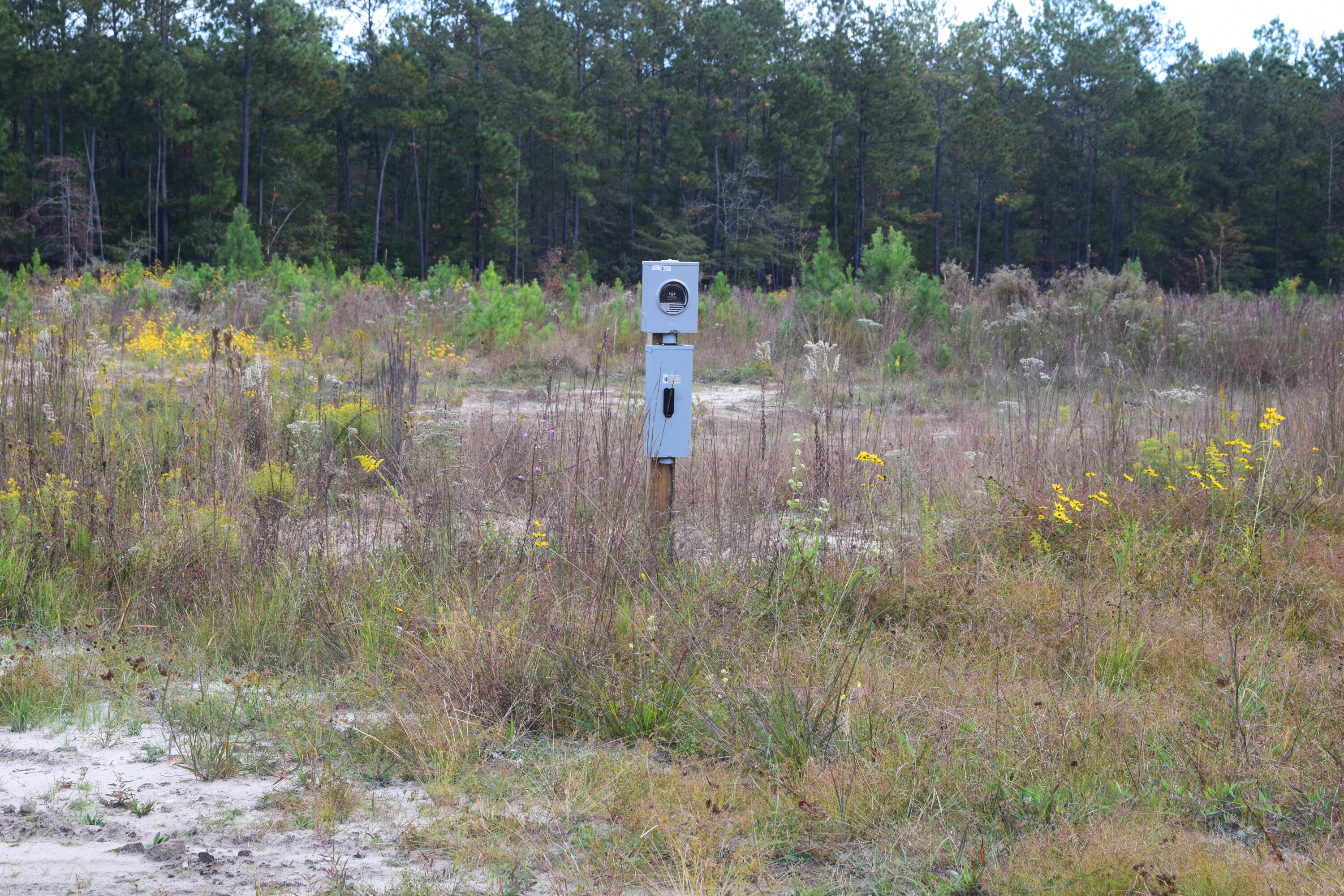 119 Old Arrowhead Road Huger, SC 29450 - Photo 4 of 12 DSC_0237