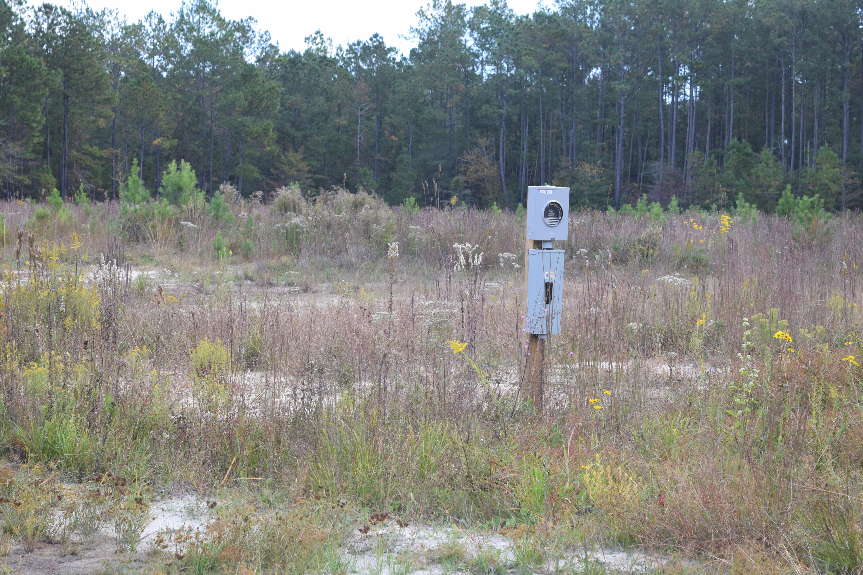 119 Old Arrowhead Road Huger, SC 29450 - Photo 5 of 12 DSC_0236