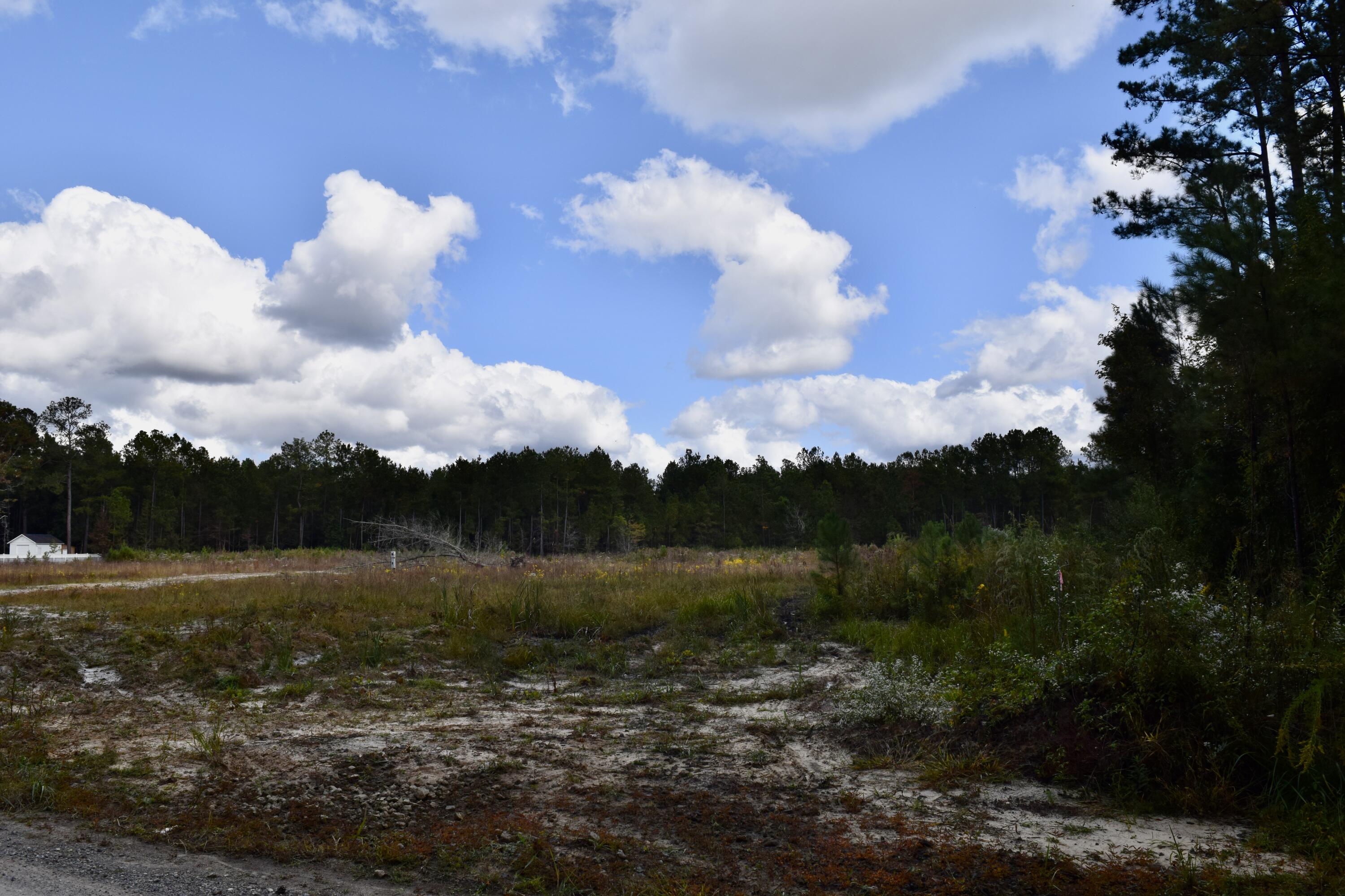 119 Old Arrowhead Road Huger, SC 29450 - Photo 6 of 12 DSC_0235