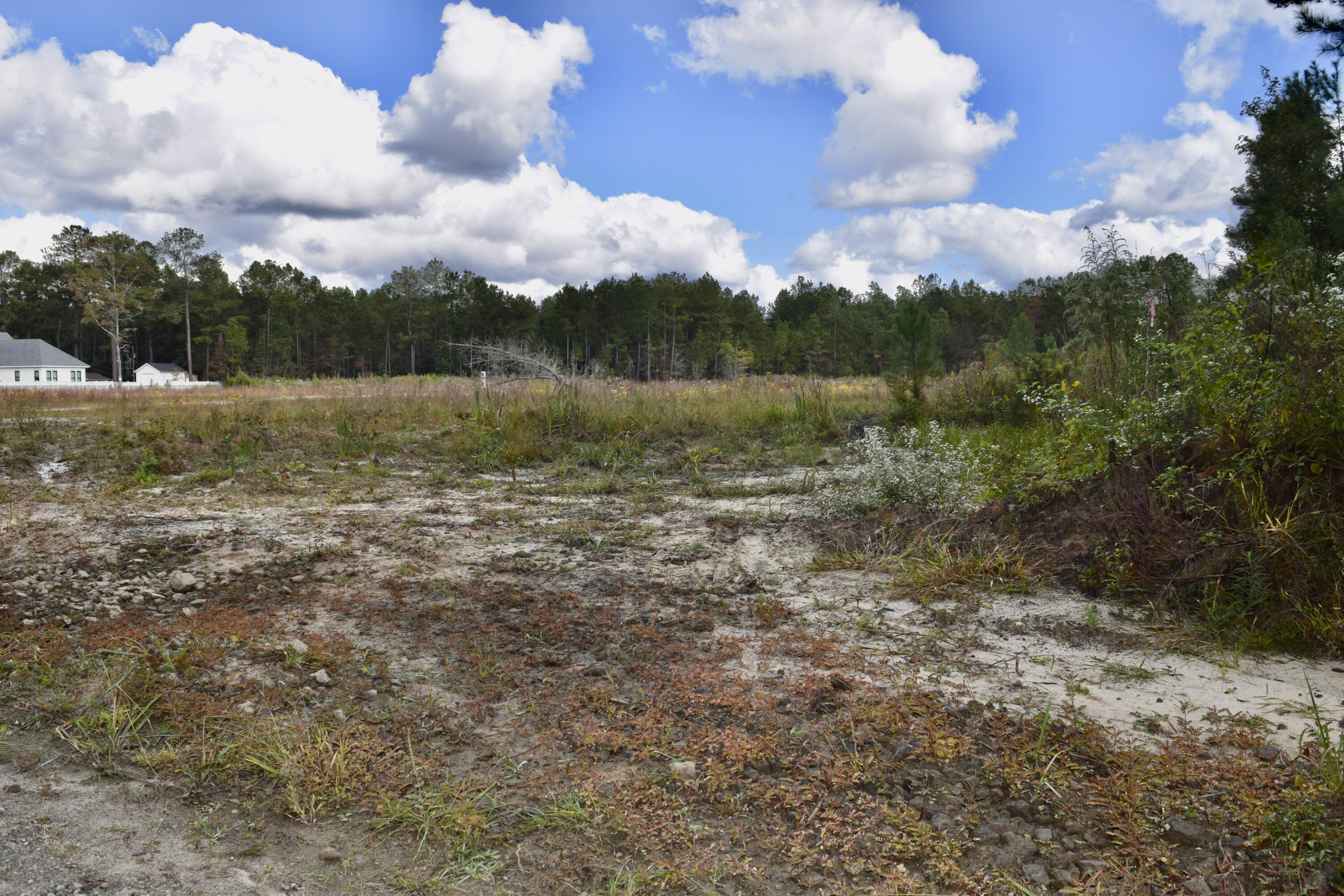 119 Old Arrowhead Road Huger, SC 29450 - Photo 7 of 12 DSC_0234