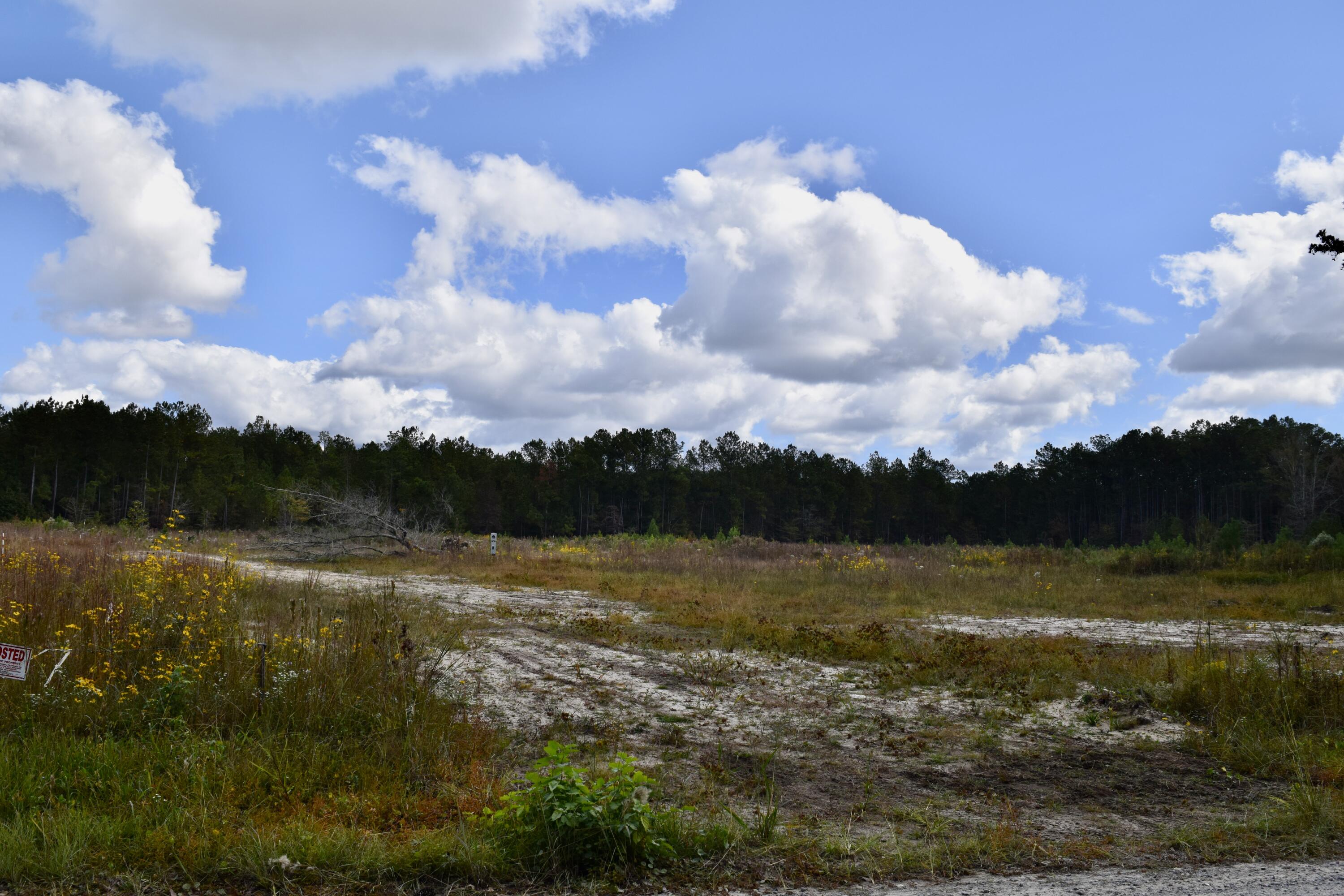 119 Old Arrowhead Road Huger, SC 29450 - Photo 8 of 12 DSC_0233