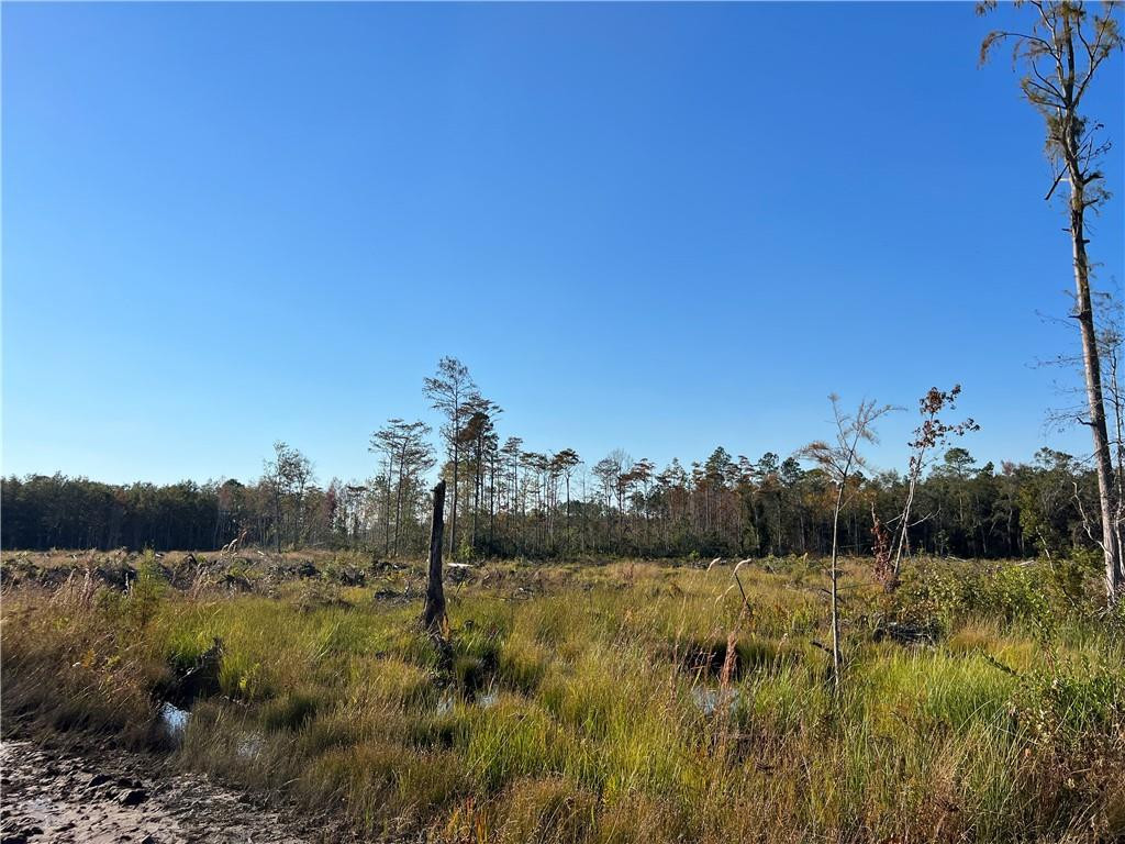 99 Highway 99 Townsend, GA 31331 - Photo 31 of 36