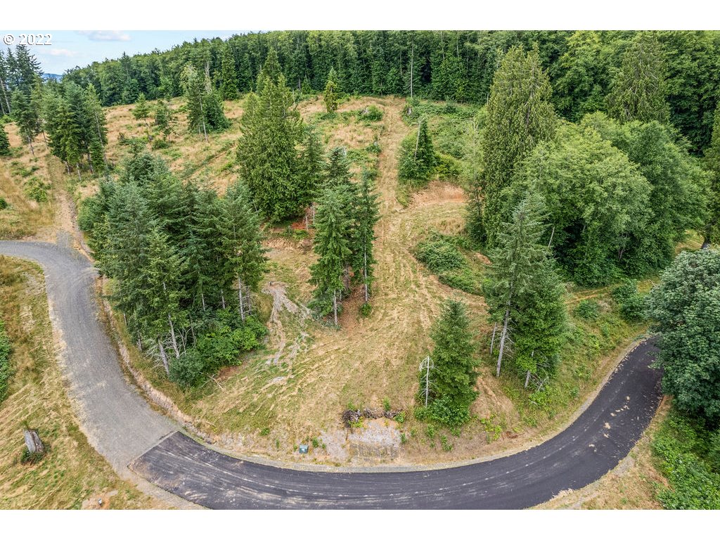 1 Bison Run Longview, WA 98632 - Photo 3 of 5 Gallery Image 3