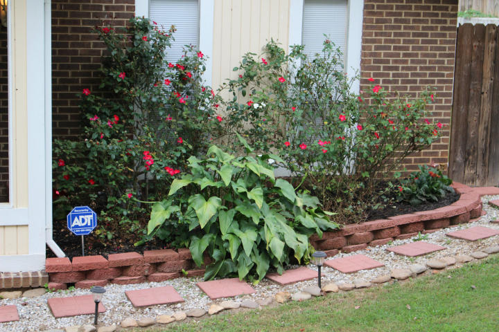 4400 Mascarene Road Knoxville, TN 37921 - Photo 5 of 15 FLOWER GARDEN
