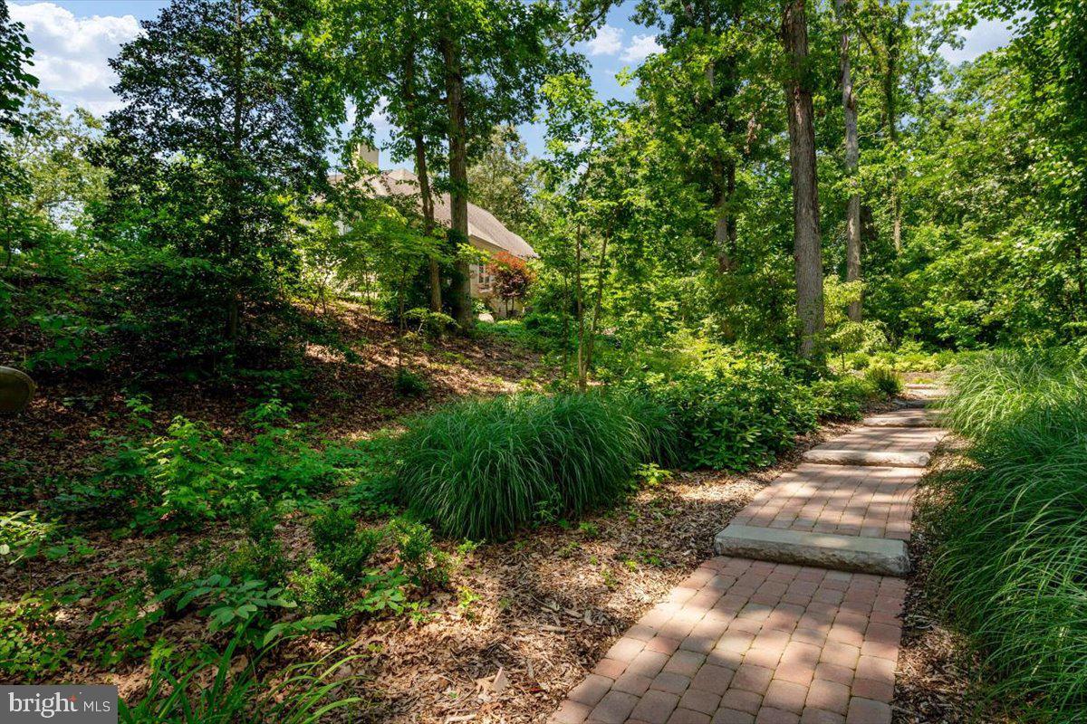 3332 Breckenridge Way Riva, MD 21140 - Photo 38 of 50 a view of a pathway both side of yard