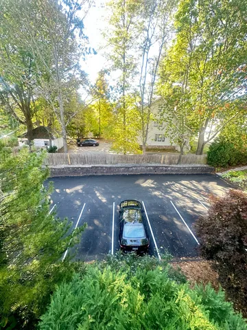 a view of a yard with plants and trees