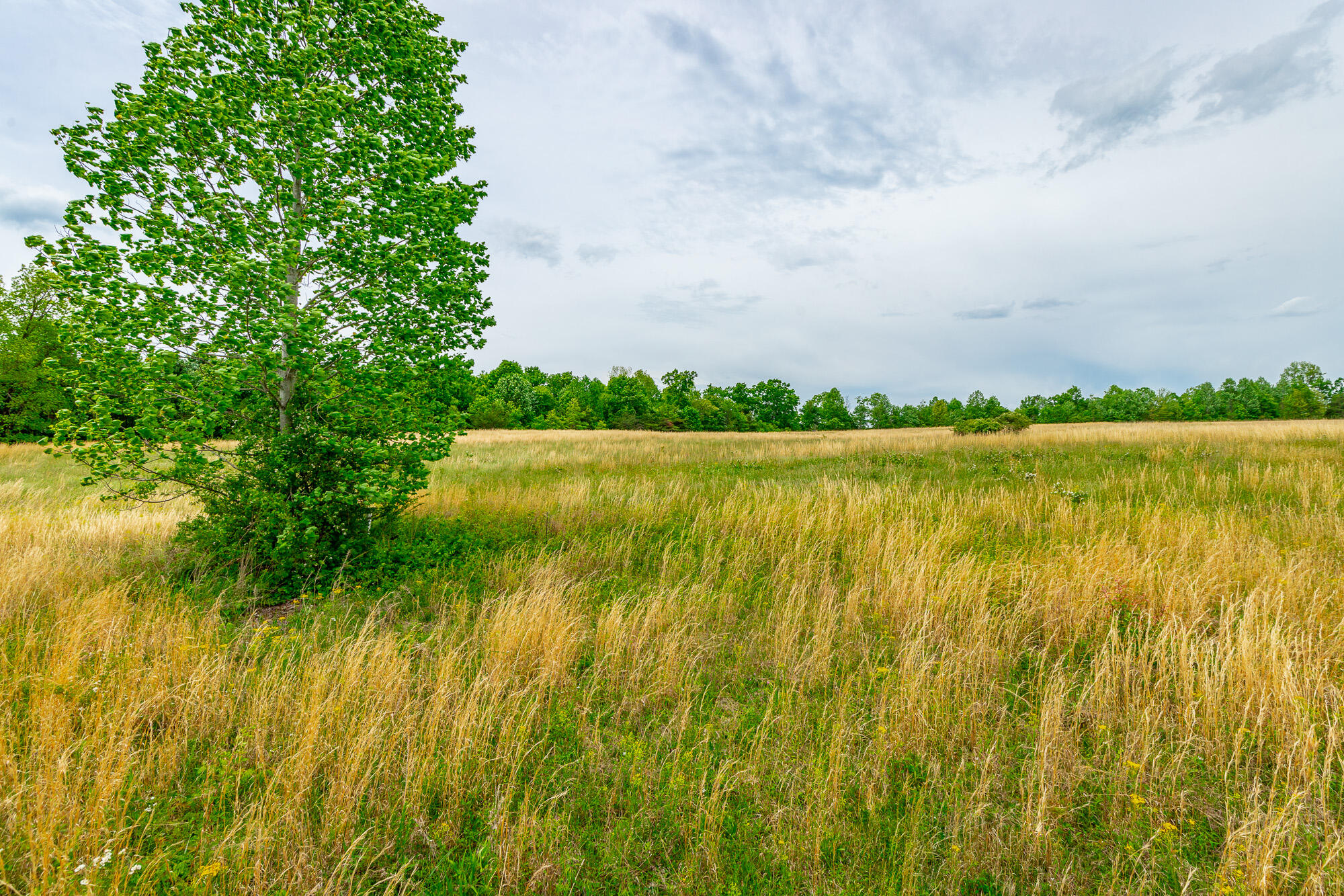 0 Ray Gadd Road Graysville, TN 37338 - Photo 46 of 109 Ray Gadd Road Lot HD-38
