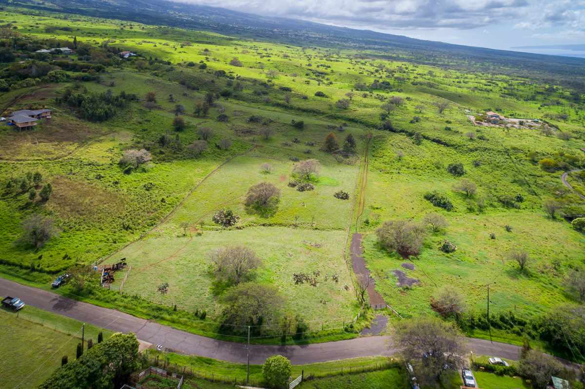 0 Naalae Road Kula, HI 96790 - Photo 3 of 11 a view of a garden