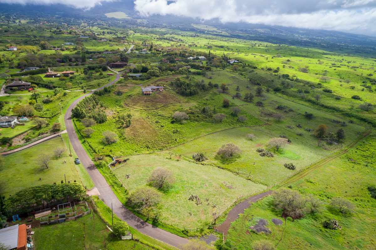 0 Naalae Road Kula, HI 96790 - Photo 4 of 11 a view of a garden