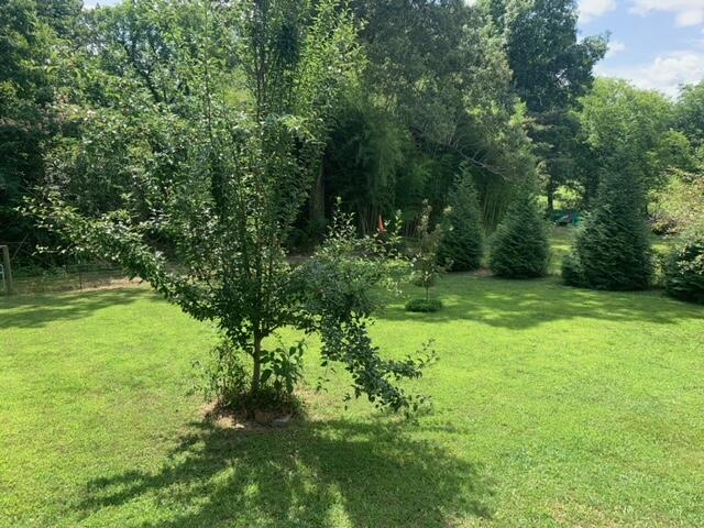 2338 Garretts Chapel Road Chickamauga, GA 30707 - Photo 29 of 30 28 Fruit tree