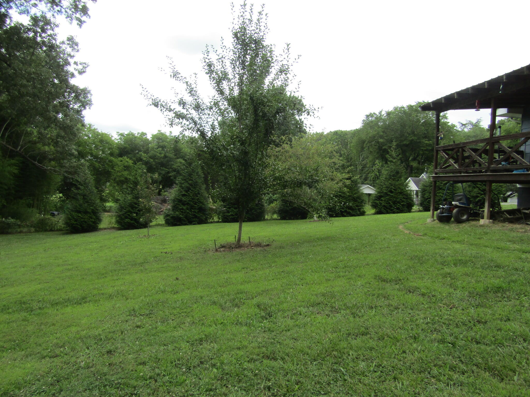 2338 Garretts Chapel Road Chickamauga, GA 30707 - Photo 30 of 30 29 Fruit Tree