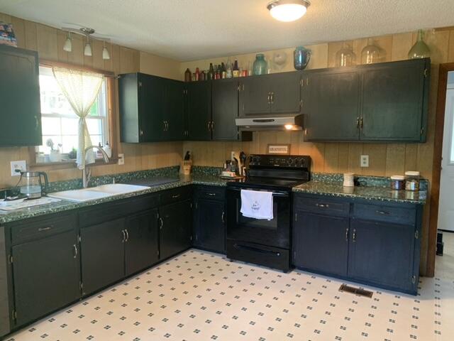 2338 Garretts Chapel Road Chickamauga, GA 30707 - Photo 8 of 30 8 Kitchen