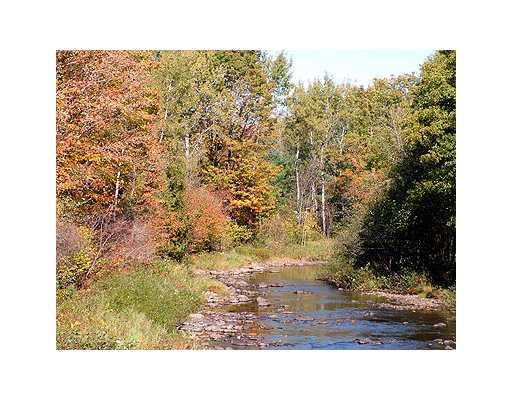 Lot 40 Front Ridge Road Houlton, ME 04730 - Photo 8 of 8 Land.