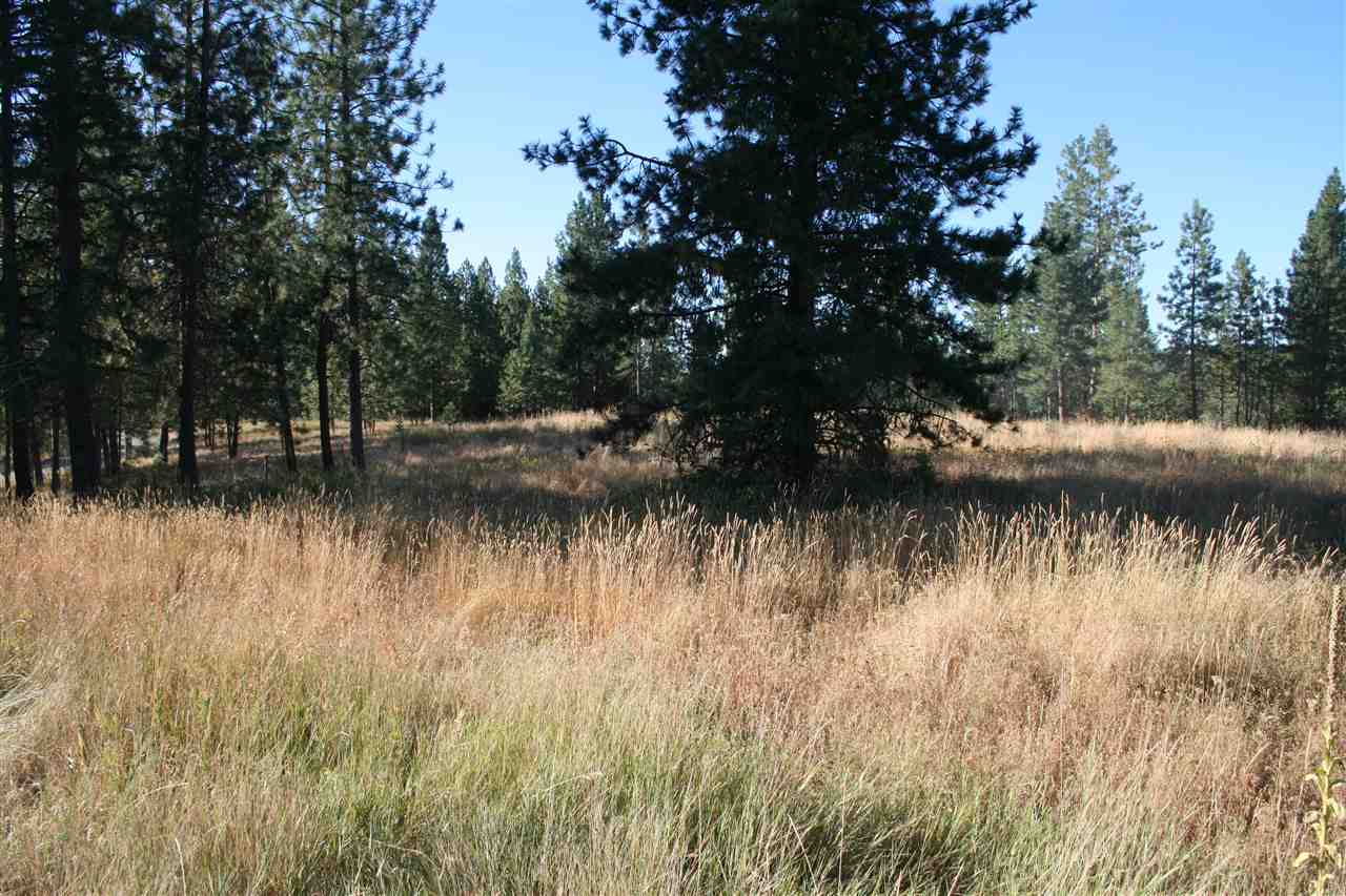 Xx Olinger Road Springdale, WA 99173 - Photo 1 of 11