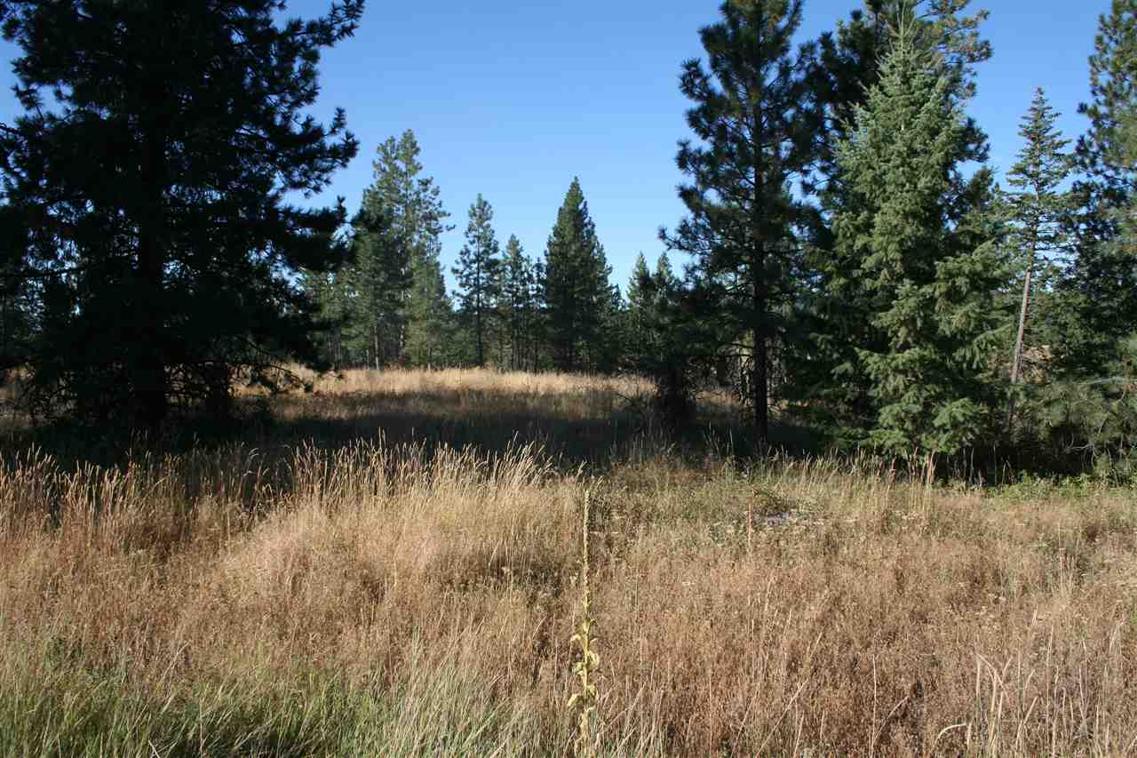 Xx Olinger Road Springdale, WA 99173 - Photo 2 of 11