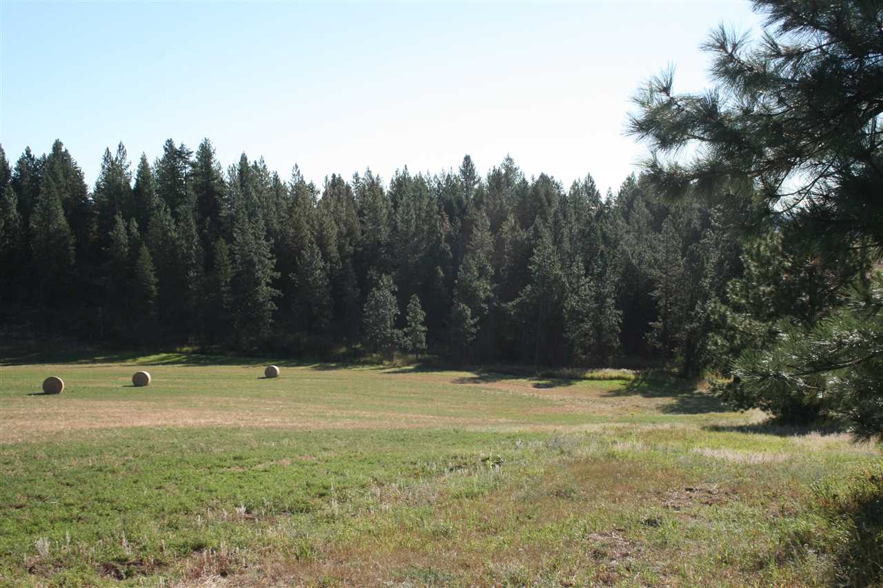 Xx Olinger Road Springdale, WA 99173 - Photo 11 of 11