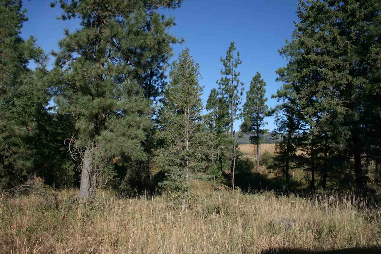 Xx Olinger Road Springdale, WA 99173 - Photo 3 of 11