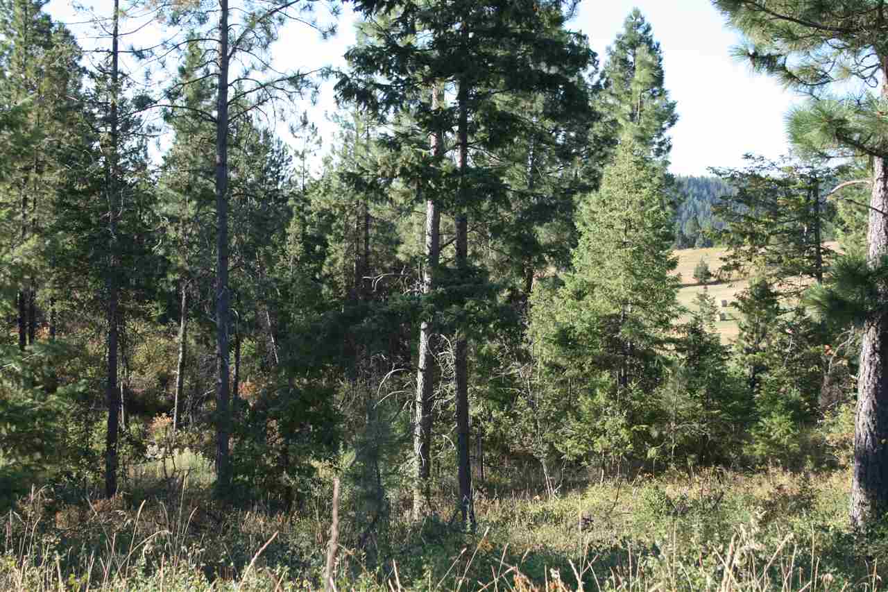 Xx Olinger Road Springdale, WA 99173 - Photo 4 of 11
