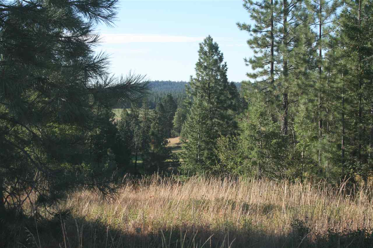 Xx Olinger Road Springdale, WA 99173 - Photo 5 of 11