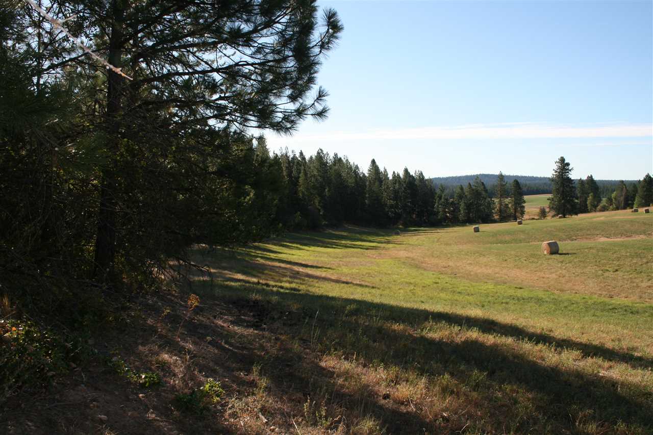 Xx Olinger Road Springdale, WA 99173 - Photo 6 of 11
