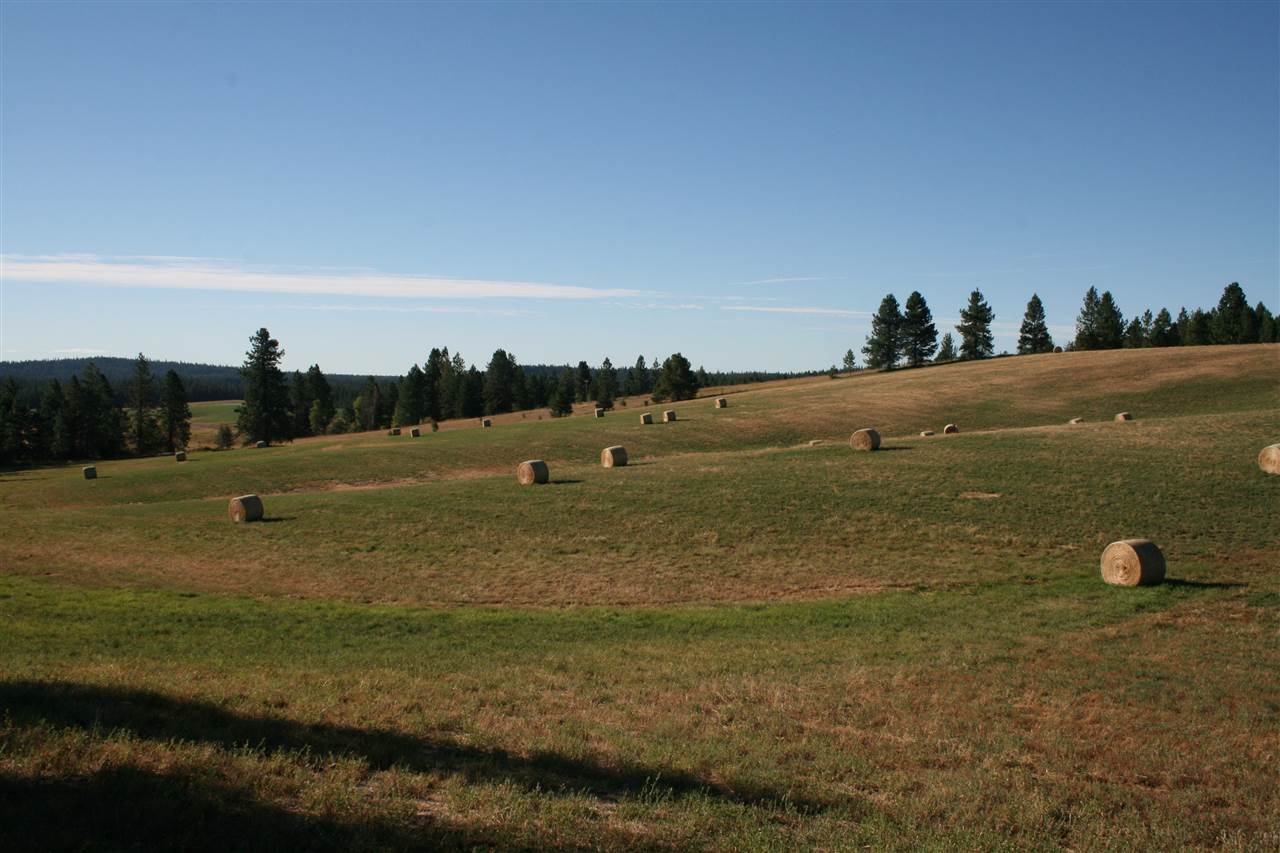 Xx Olinger Road Springdale, WA 99173 - Photo 7 of 11