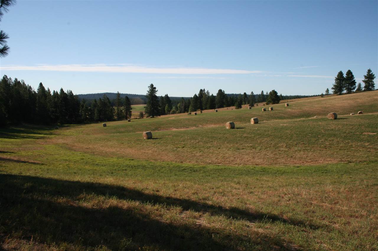 Xx Olinger Road Springdale, WA 99173 - Photo 8 of 11