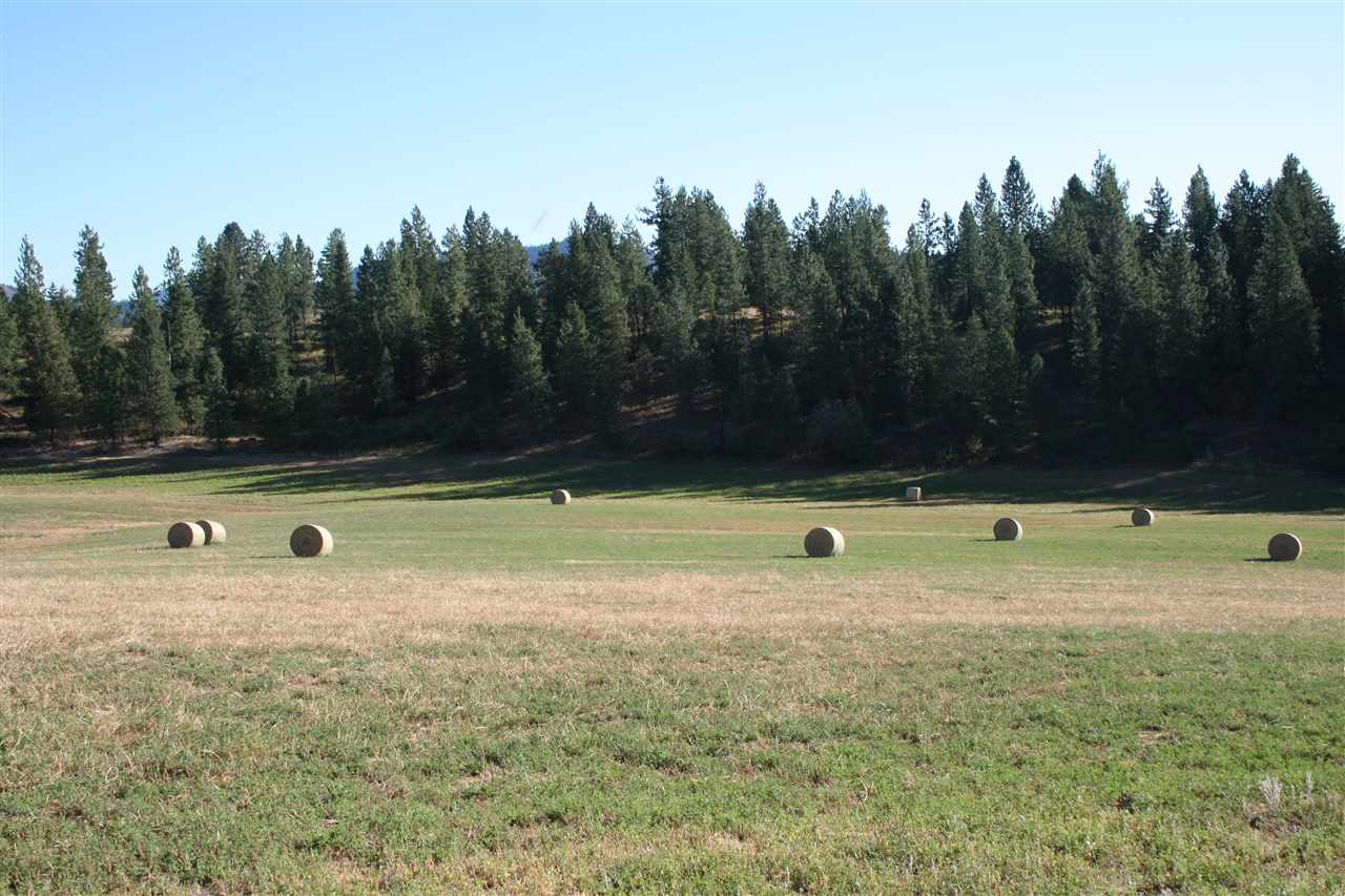 Xx Olinger Road Springdale, WA 99173 - Photo 9 of 11