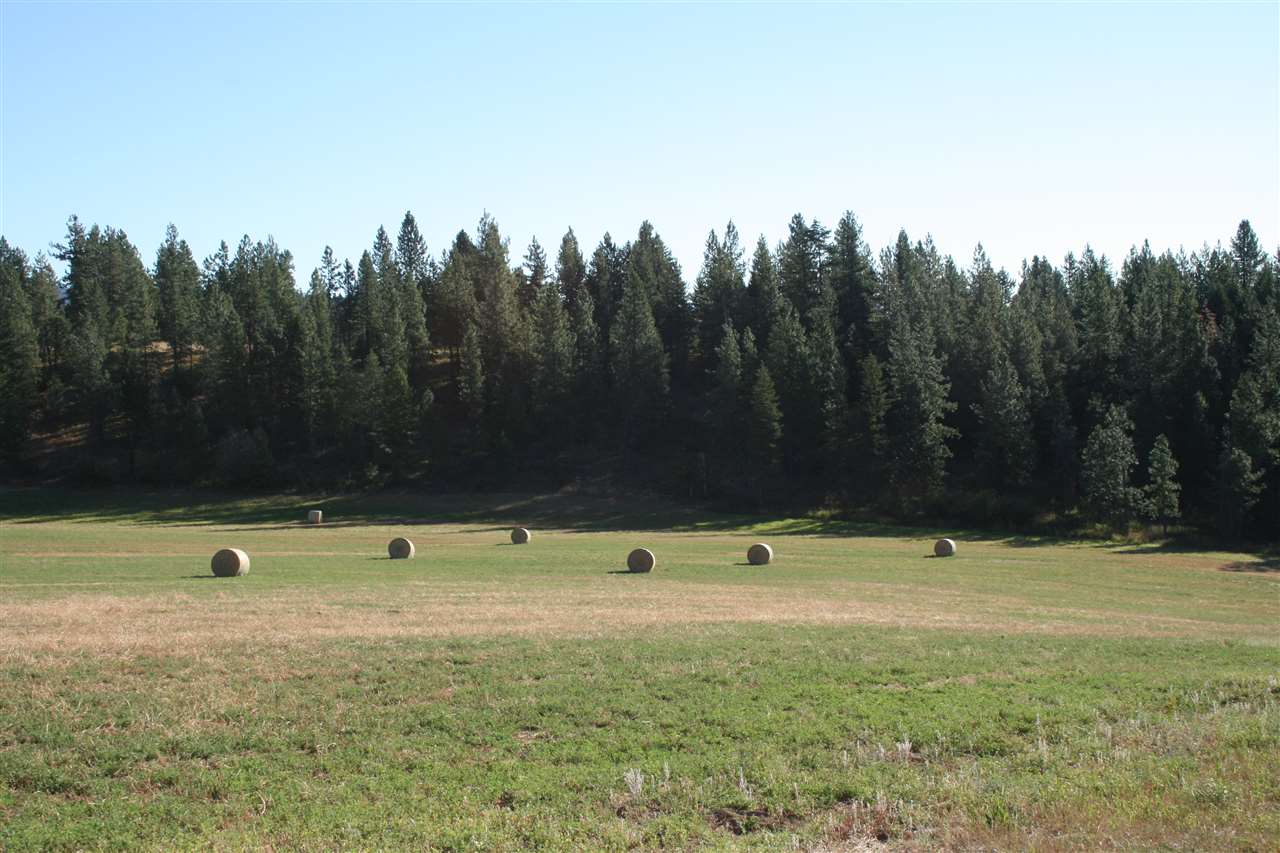 Xx Olinger Road Springdale, WA 99173 - Photo 10 of 11