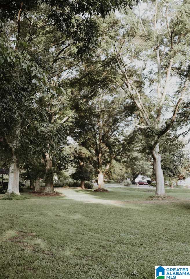 131 Goldridge Road Ranburne, AL 36273 - Photo 2 of 26 Gallery Image 2