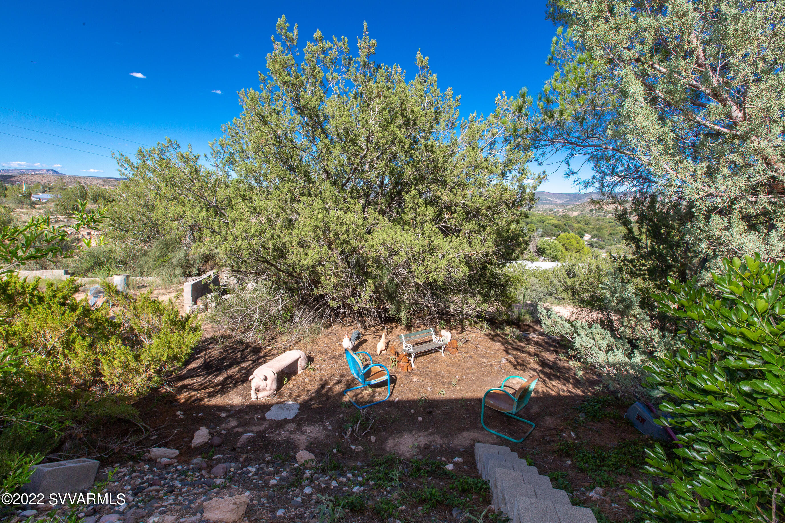 3765 East Valley Vista Road Rimrock, AZ 86335 - Photo 18 of 20 a view of a tree in a yard