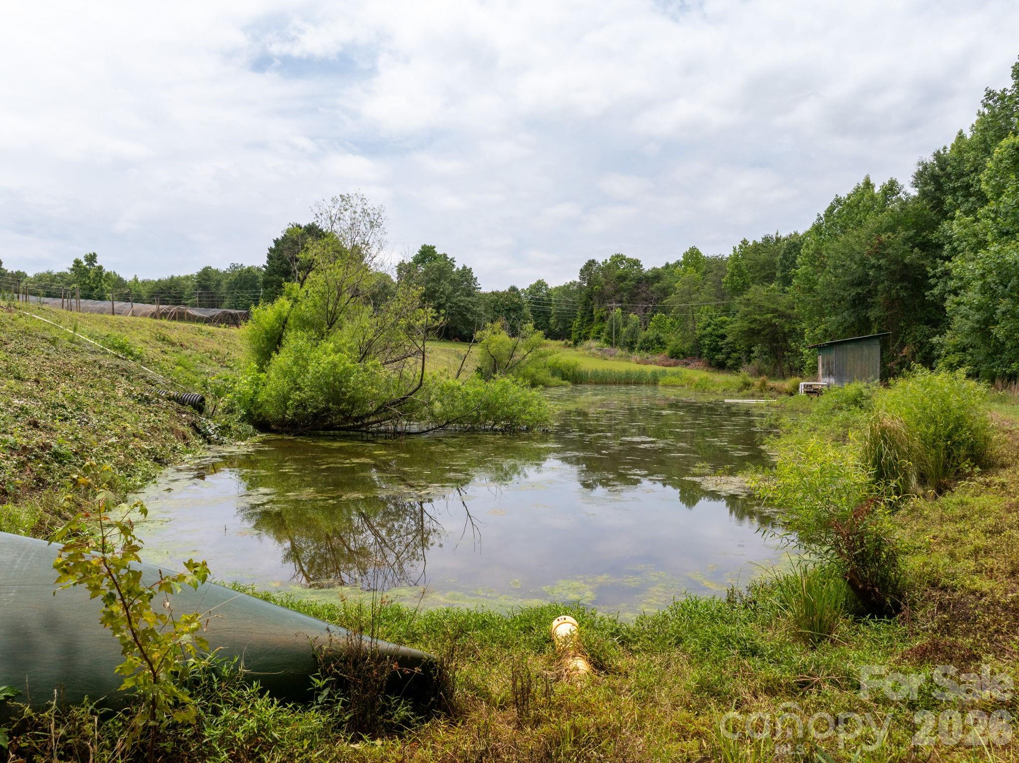 1350 Lee Cudd Road Rutherfordton, NC 28139 - Photo 13 of 38