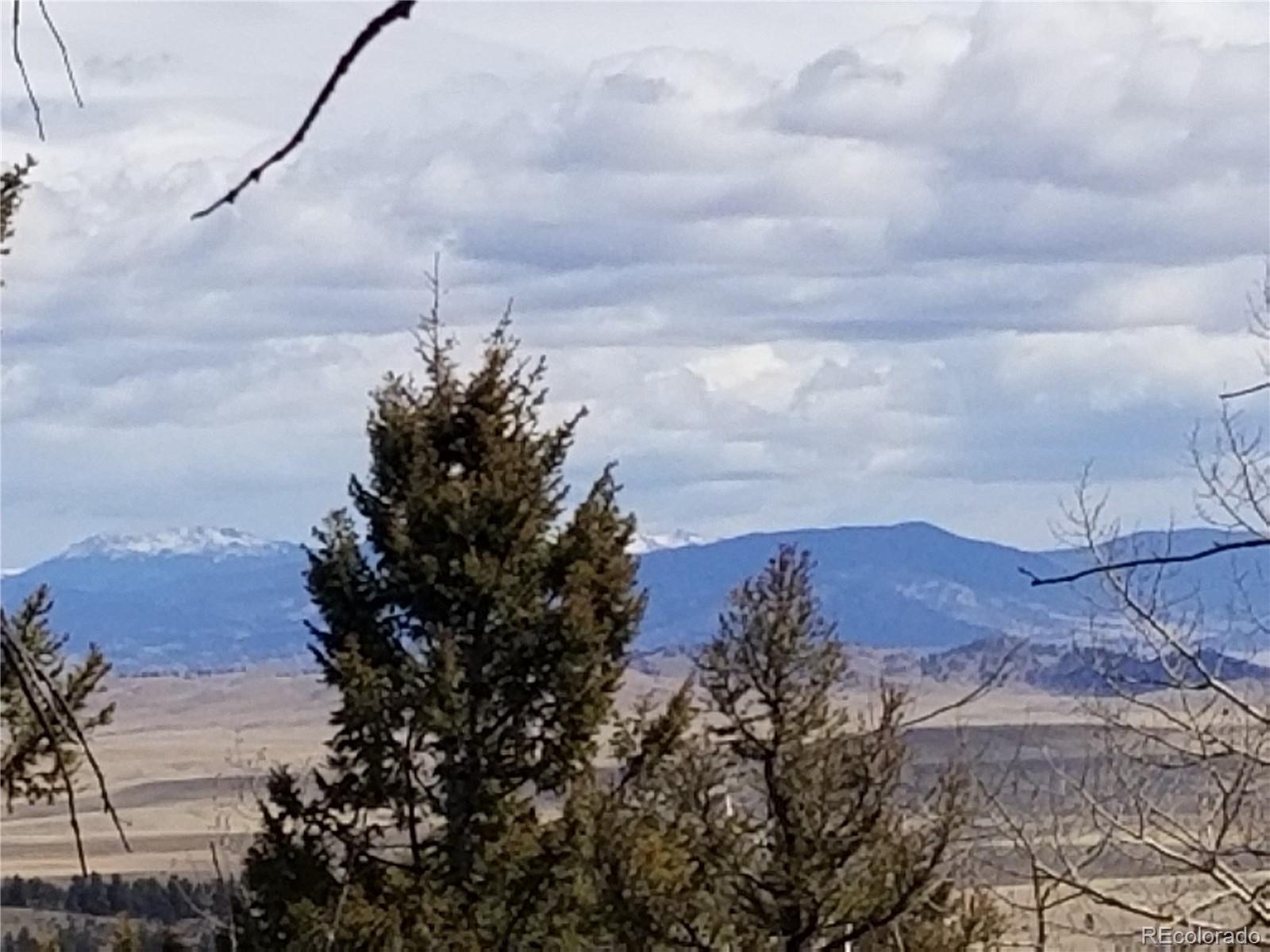 654 Bellows Road Hartsel, CO 80449 - Photo 1 of 8