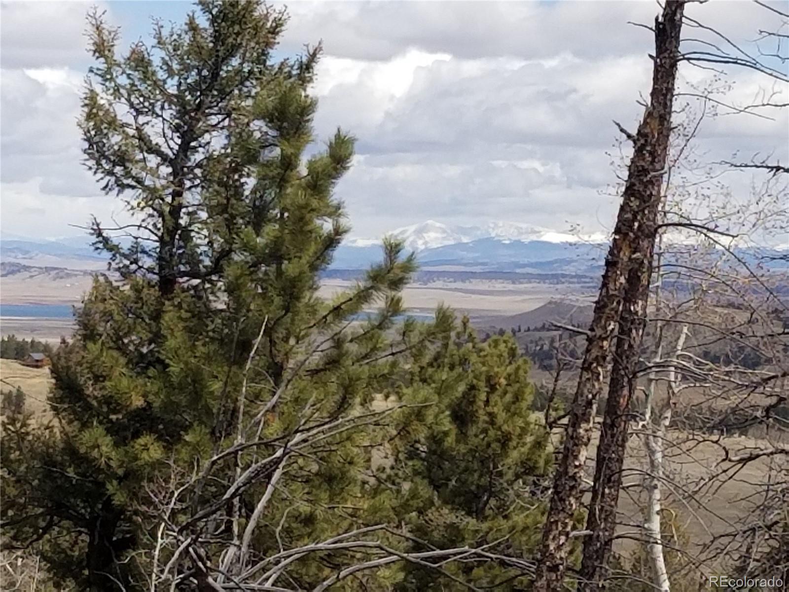 654 Bellows Road Hartsel, CO 80449 - Photo 7 of 8 a view of a yard