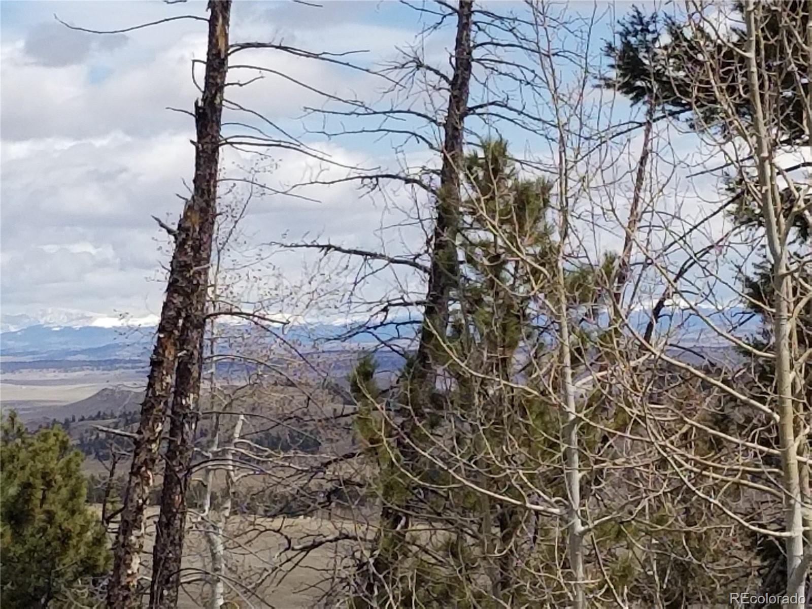 654 Bellows Road Hartsel, CO 80449 - Photo 8 of 8 a backyard of a house
