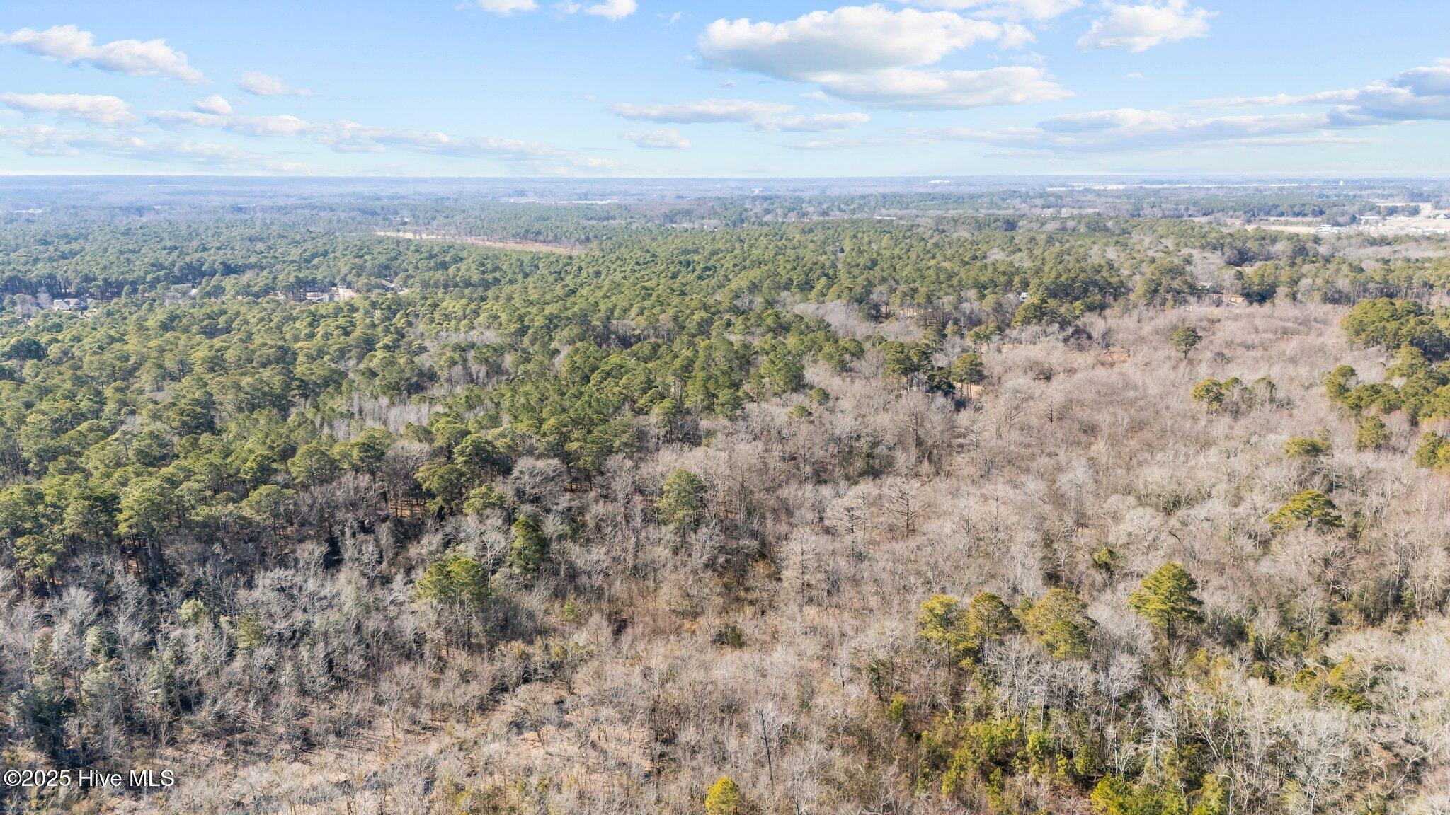 155 Fairmax Road Goldsboro, NC 27534 - Photo 7 of 24 5-web-or-mls-DJI_20250130125319_0246_D