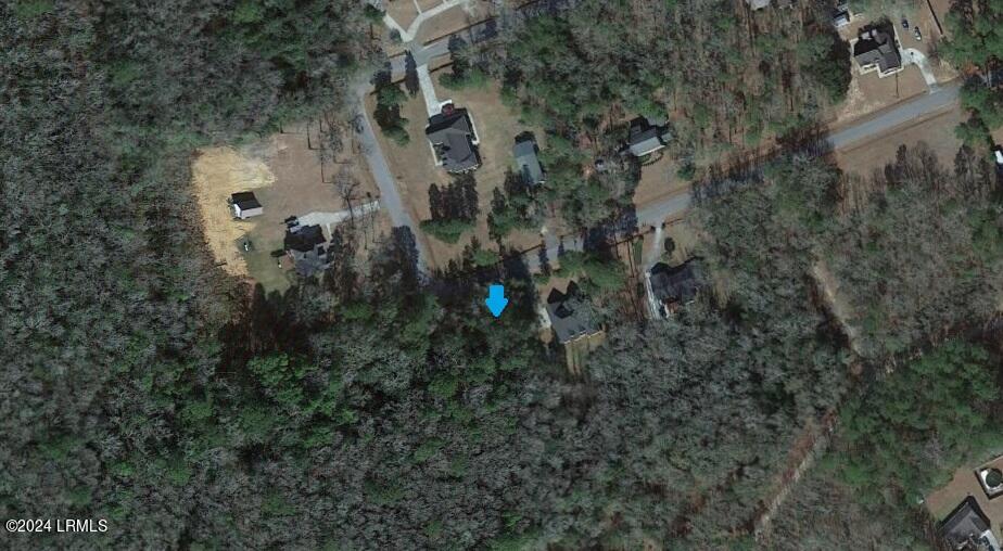 297 Spring Road Walterboro, SC 29488 - Photo 1 of 8 Wooded Mature Lot