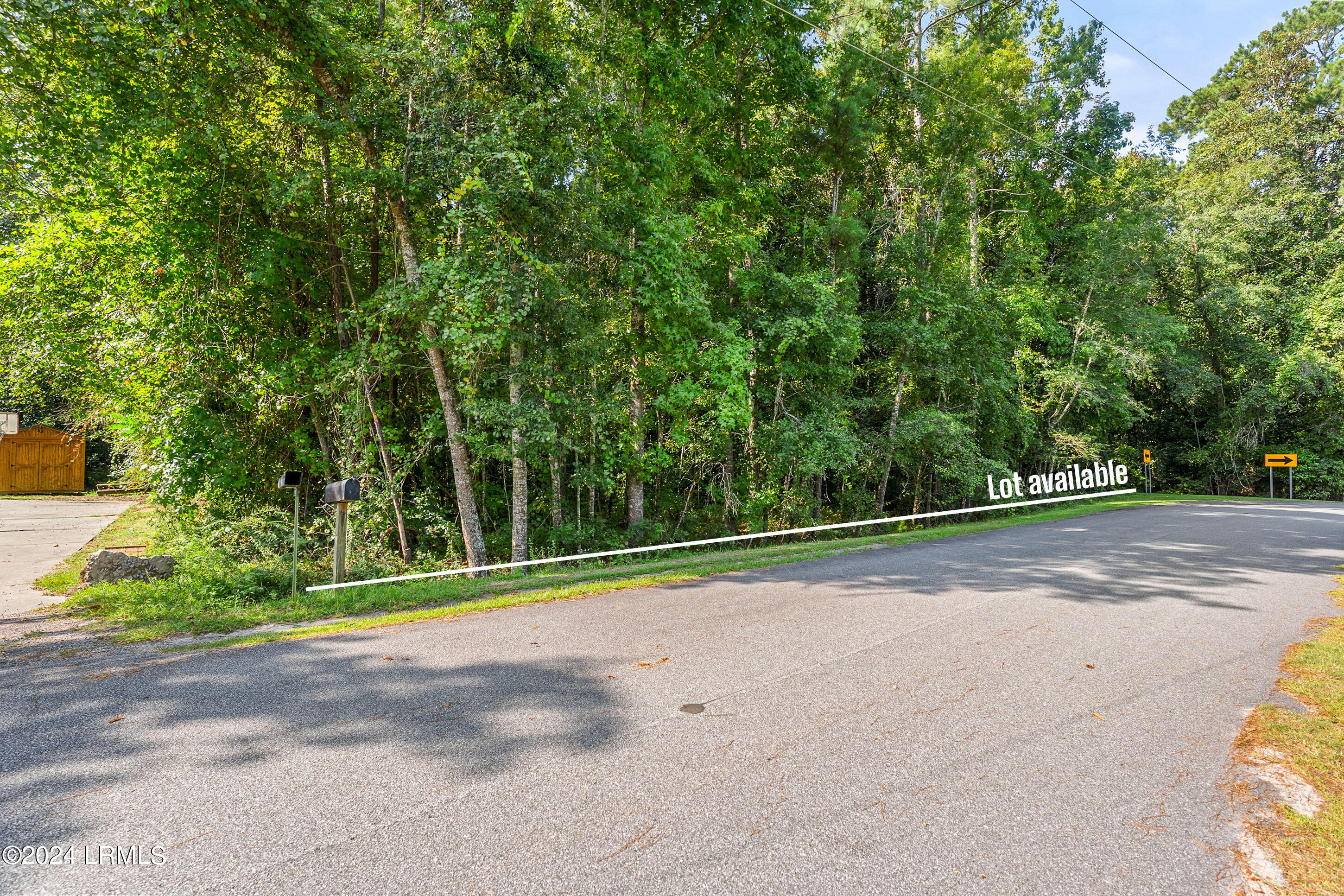297 Spring Road Walterboro, SC 29488 - Photo 2 of 8 DSC05768-187-1.jpg-FULL