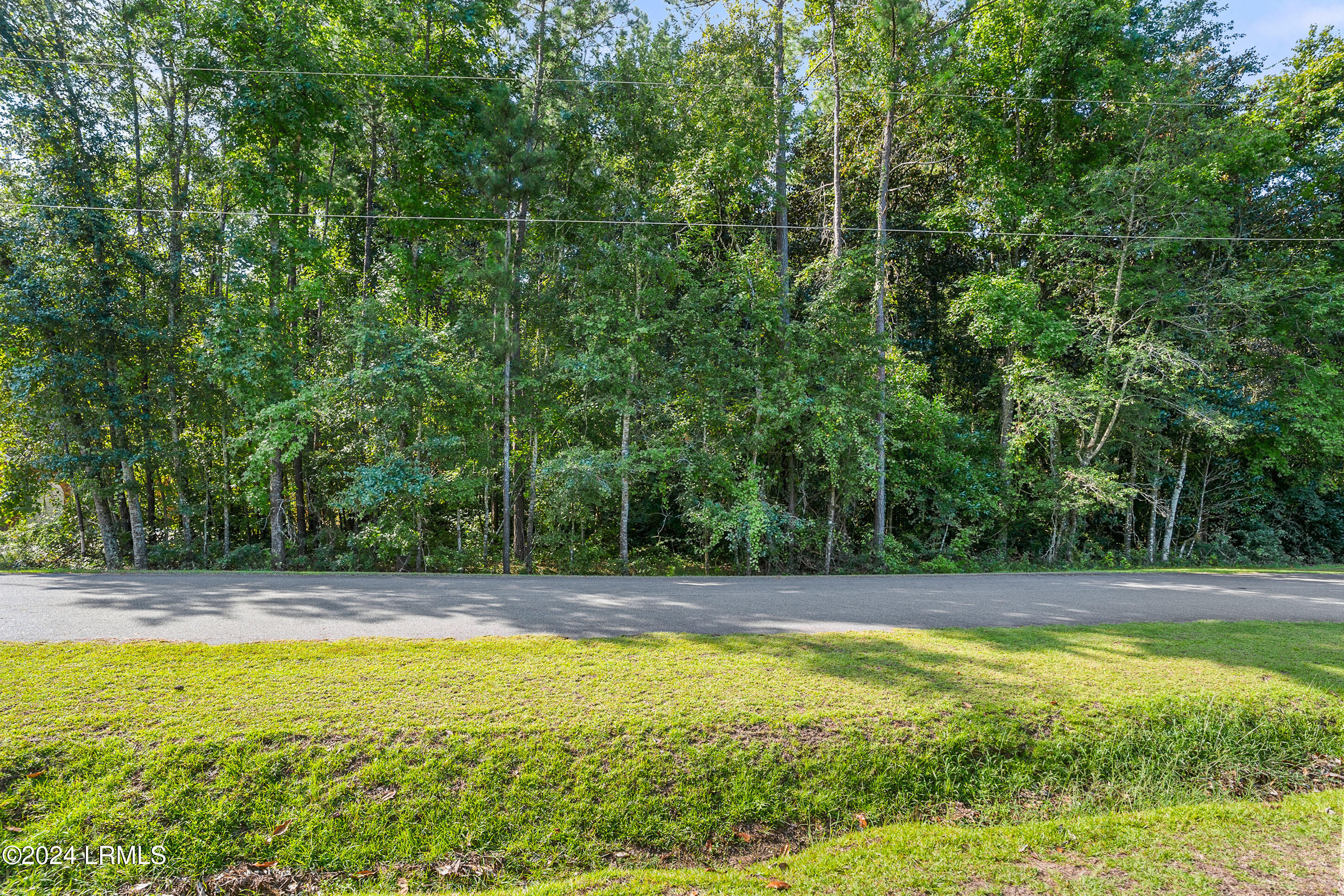 297 Spring Road Walterboro, SC 29488 - Photo 3 of 8 DSC05778-192-1.jpg-FULL