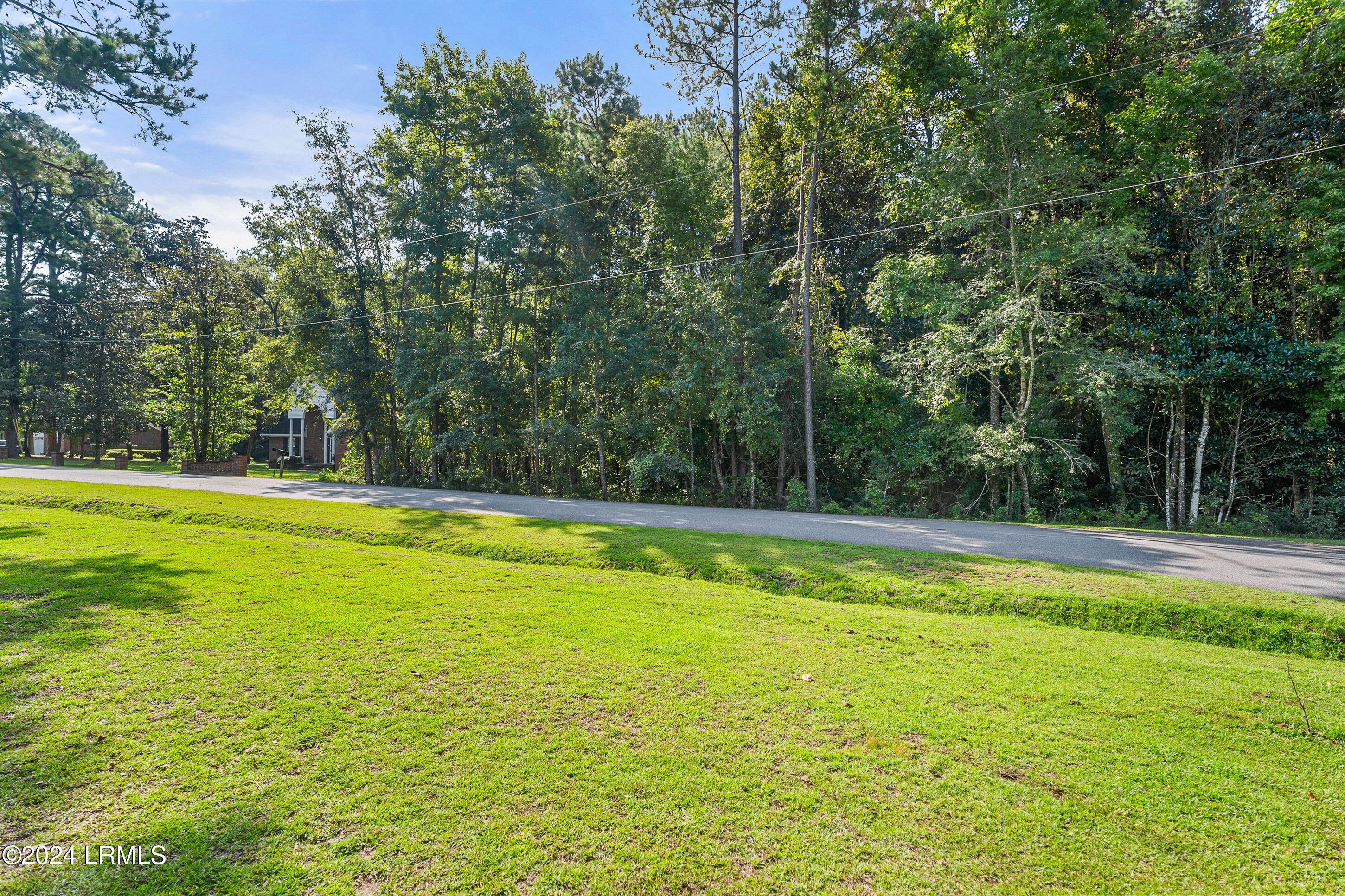 297 Spring Road Walterboro, SC 29488 - Photo 4 of 8 DSC05788-197-1.jpg-FULL