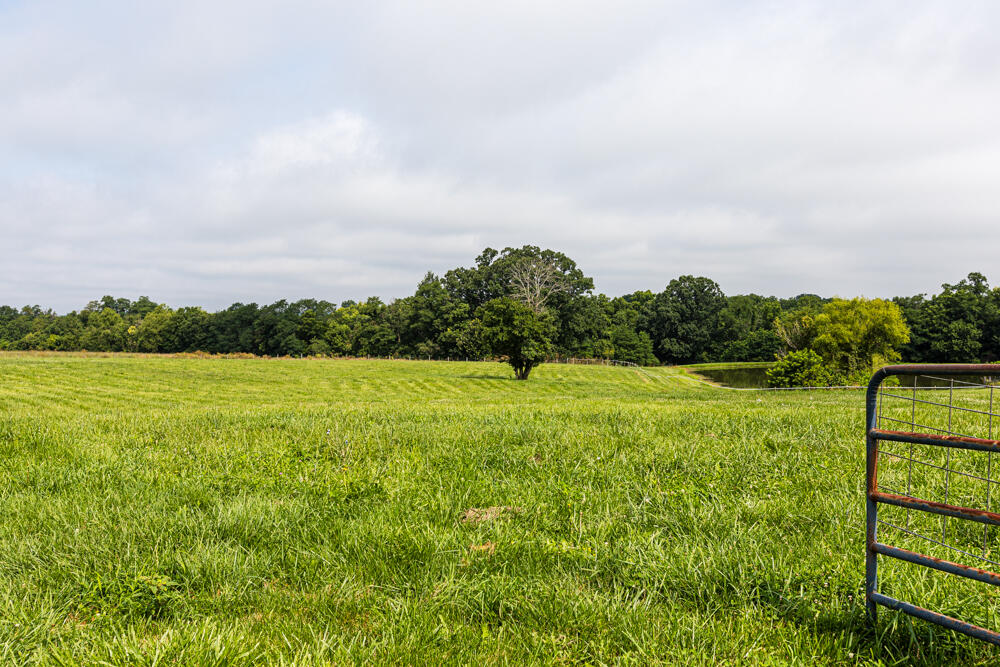 327 Collins Road Paris, KY 40361 - Photo 10 of 73 1F9A6074
