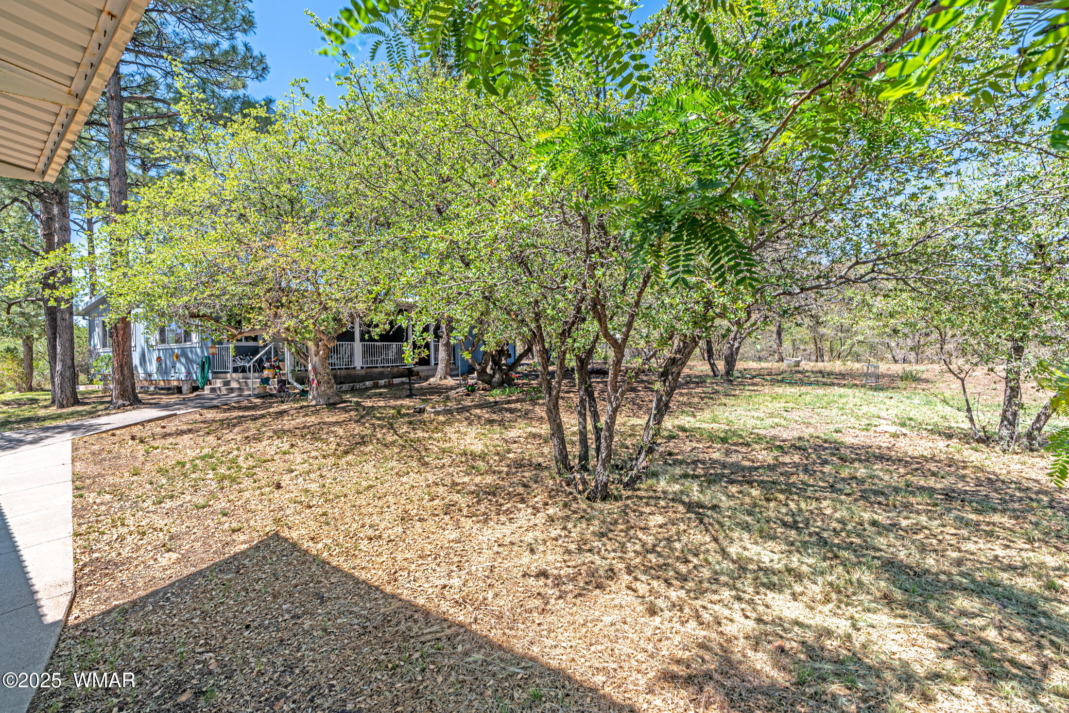 978 Timberland Road Show Low, AZ 85901 - Photo 22 of 31 _DSC6695-HDR-Edit