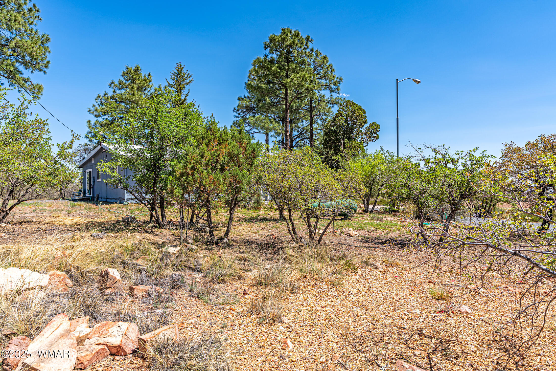 978 Timberland Road Show Low, AZ 85901 - Photo 24 of 31 _DSC6770-HDR-Edit