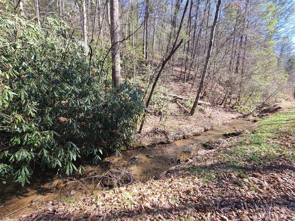 3002 Laurel Lick Road Sevierville, TN 37862 - Photo 12 of 36