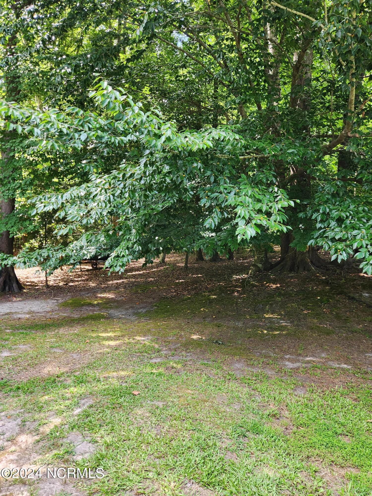 1716 Cotton Patch Road Chocowinity, NC 27817 - Photo 23 of 26 20240703_105656