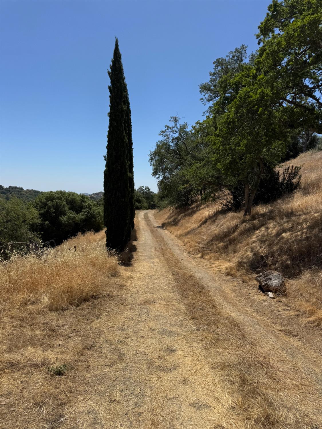 50481 Sundew Road Yokuts Valley, CA 93675 - Photo 20 of 30 Gallery Image 20
