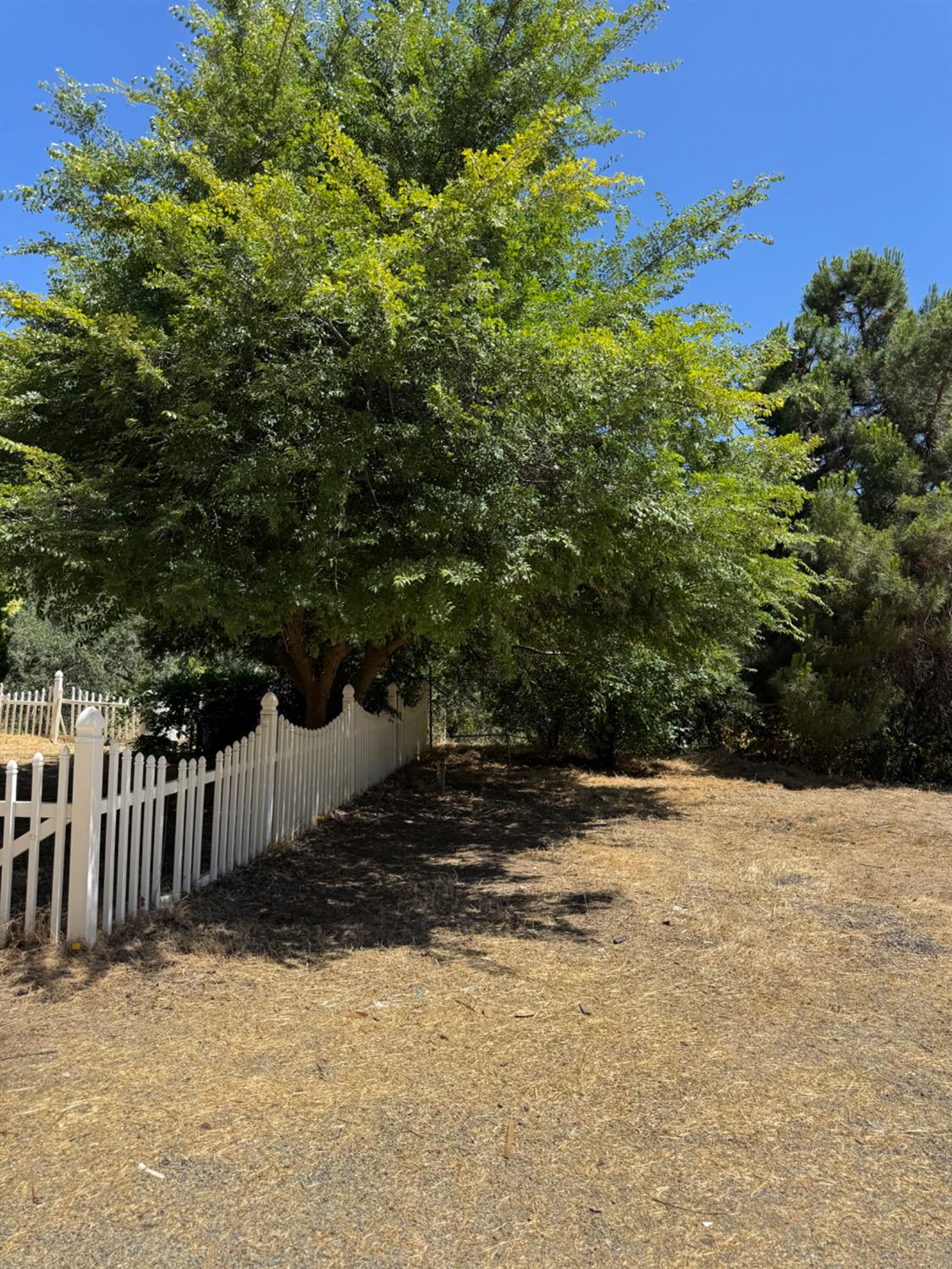 50481 Sundew Road Yokuts Valley, CA 93675 - Photo 23 of 30 Gallery Image 23