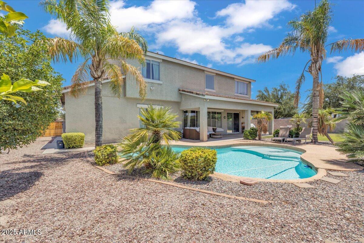 3465 East Rosa Lane Gilbert, AZ 85297 - Photo 5 of 59 Large Yard